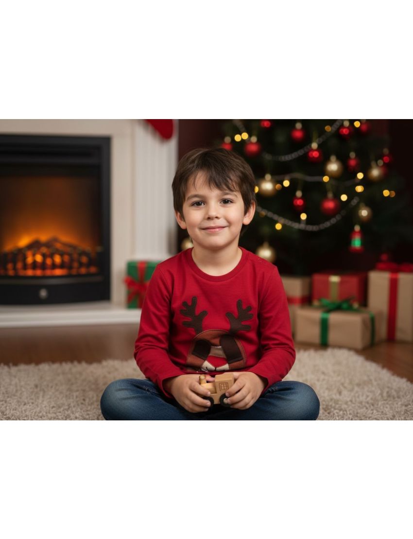 Camisola Bordeux Rena