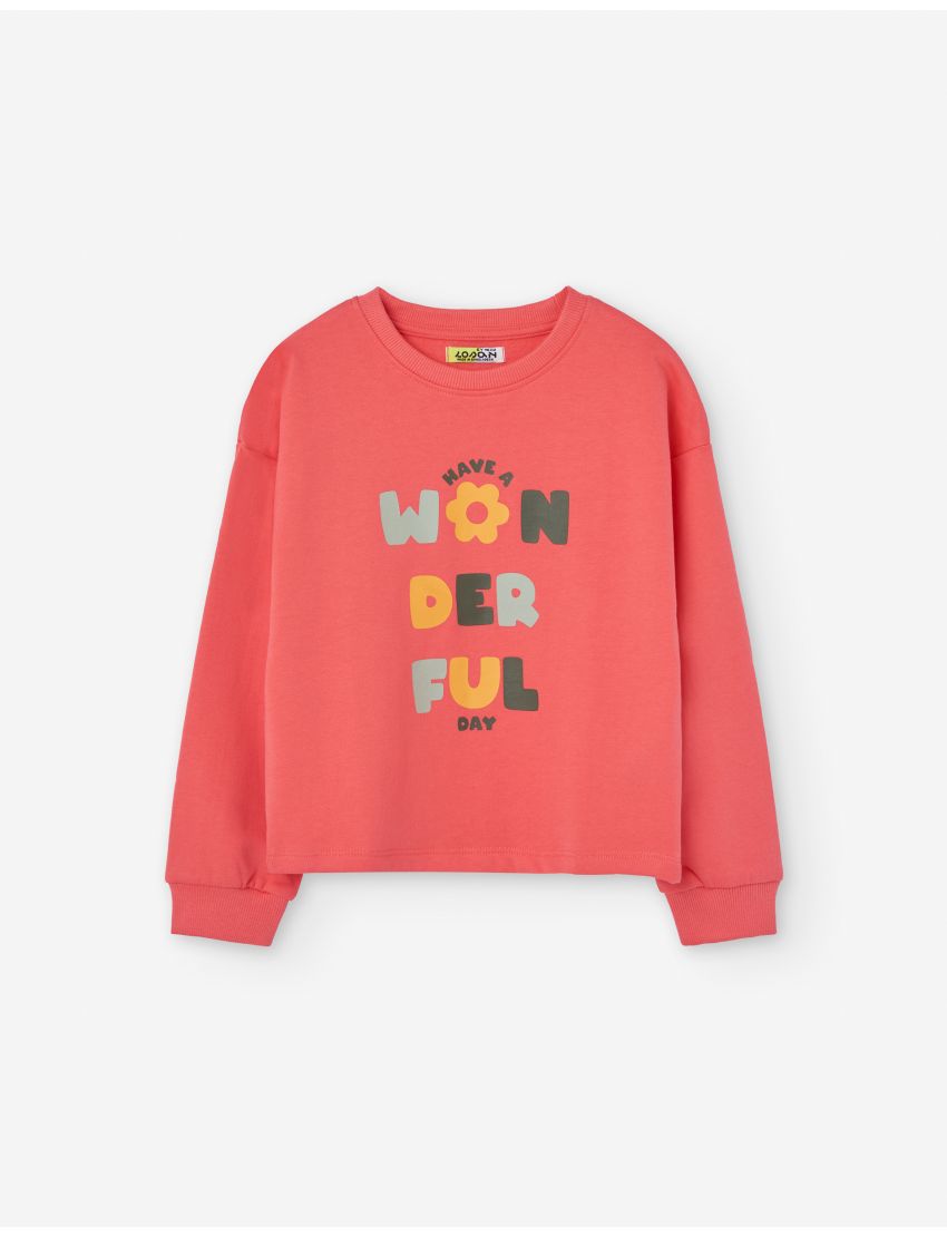 Sweatshirt Have a Wonderf